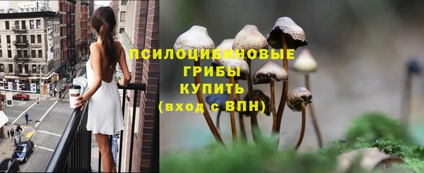 ECSTASY Абаза