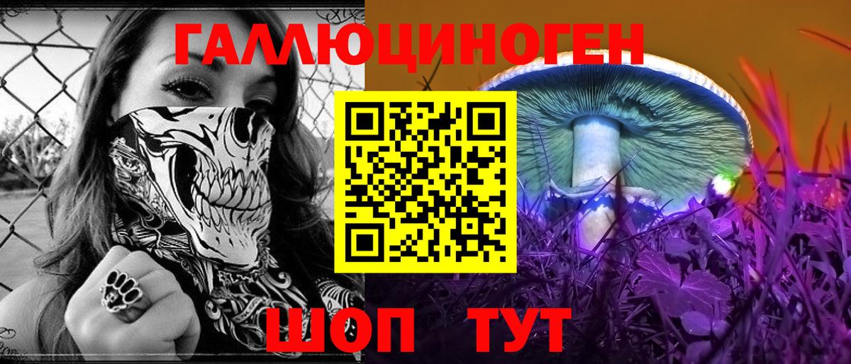 Галлюциногенные грибы Psilocybe Липецк